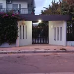 L'ulivo - *